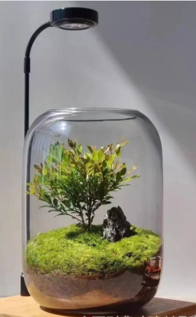 Eco bottle potted flowers image